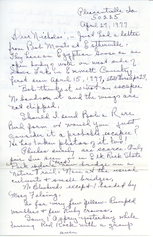 Letter from Gladys Black to Nicholas S. Halmi regarding bird watching, April 27, 1977. The letter mentions a sighting of an Egyptian Goose spotted in Iowa Lake in Emmet County, along with other birds. This item was used as supporting documentation for the Iowa Ornithologists' Union Quarterly Report of spring 1977.