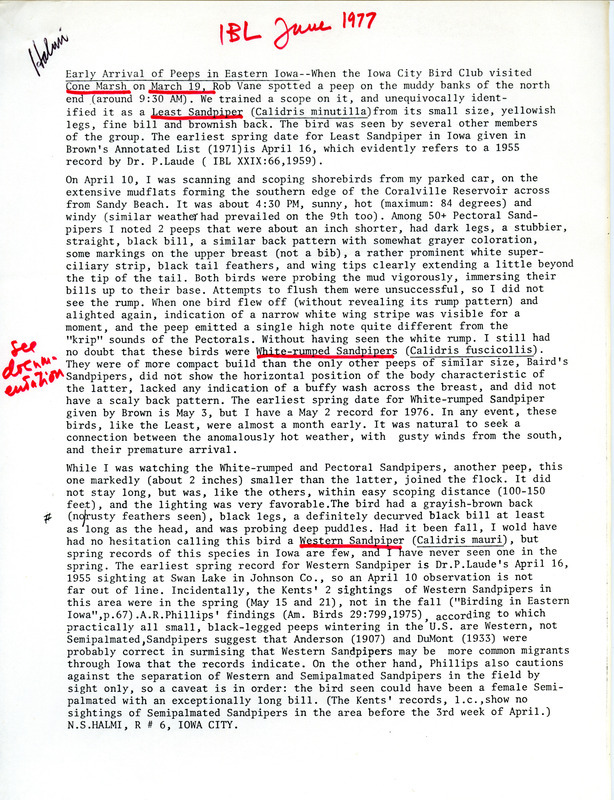 Annotated document by Nicholas S. Halmi discussing several species of peeps he had seen during spring bird watching in eastern Iowa, June 1977. This item was used as supporting documentation for the Iowa Ornithologists' Union Quarterly field report of Spring 1977.