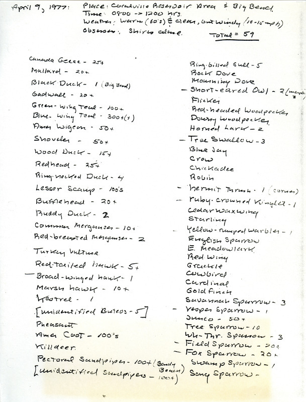 Number of sightings by bird species at Coralville Lake and Big Bend, April 9, 1977. This item was used as supporting documentation for the Iowa Ornithologists' Union Quarterly field report of spring 1977.