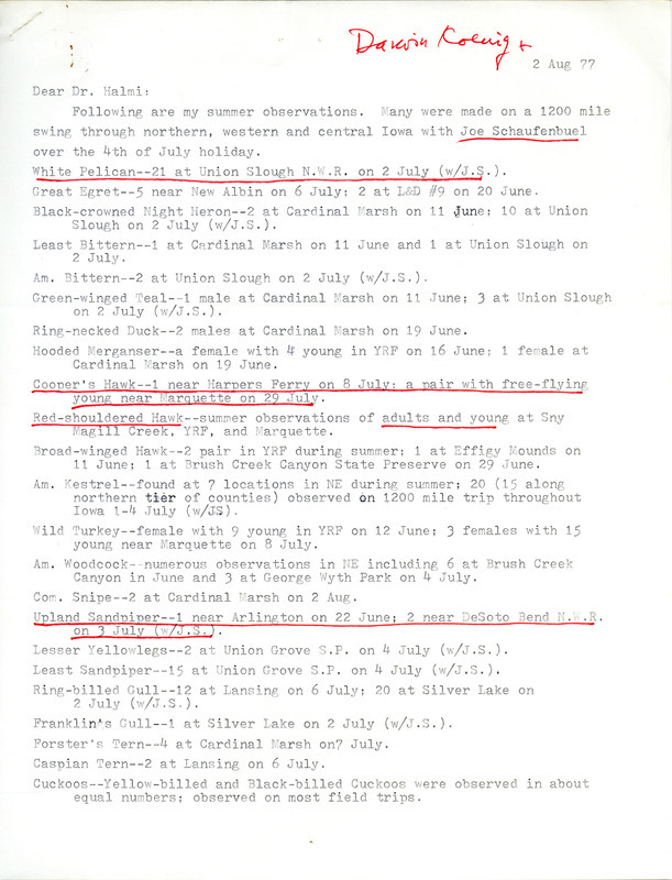 Letter from Darwin Koenig to Nicholas S. Halmi regarding bird sightings, August 2, 1977. Koenig made some of these sightings on a trip throughout Iowa with Joseph P. Schaufenbuel. This item was used as supporting documentation for the Iowa Ornithologists' Union Quarterly field report of summer 1977.