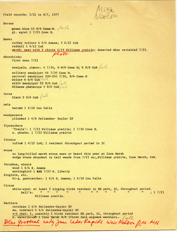 Field records from May 31 to August 7, 1977, submitted by Michael C. Newlon. A note regarding the sighting of a March Hawk (also known as a Northern Harrier) and its chicks at Williams Prairie is underlined. This item was used as supporting documentation for the Iowa Ornithologists' Union Quarterly field report of summer 1977.