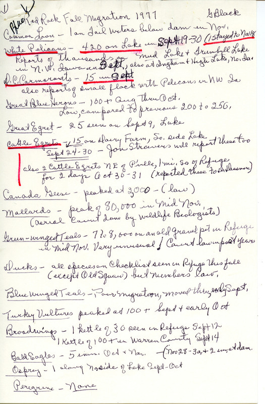 Fall migration report for Red Rock, Iowa contributed by Gladys Black. This item was used as supporting documentation for the Iowa Ornithologists Union Quarterly field report of fall 1977.