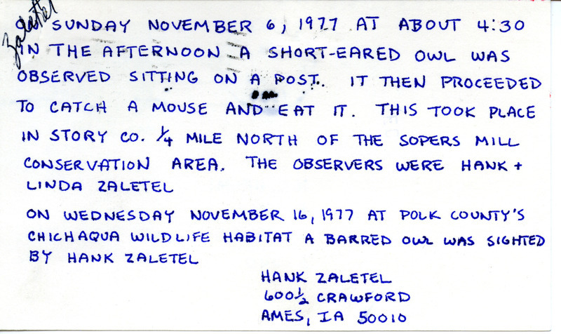 Field notes contributed by Linda Zaletel and Marilyn Smith Glasson in a letter to Nicholas S. Halmi. The letter Includes information on their Snow Goose banding. Attached is a postcard from Hank Zaletel regarding two owl sightings. This item was used as supporting documentation for the Iowa Ornithologists Union Quarterly field report of fall 1977.