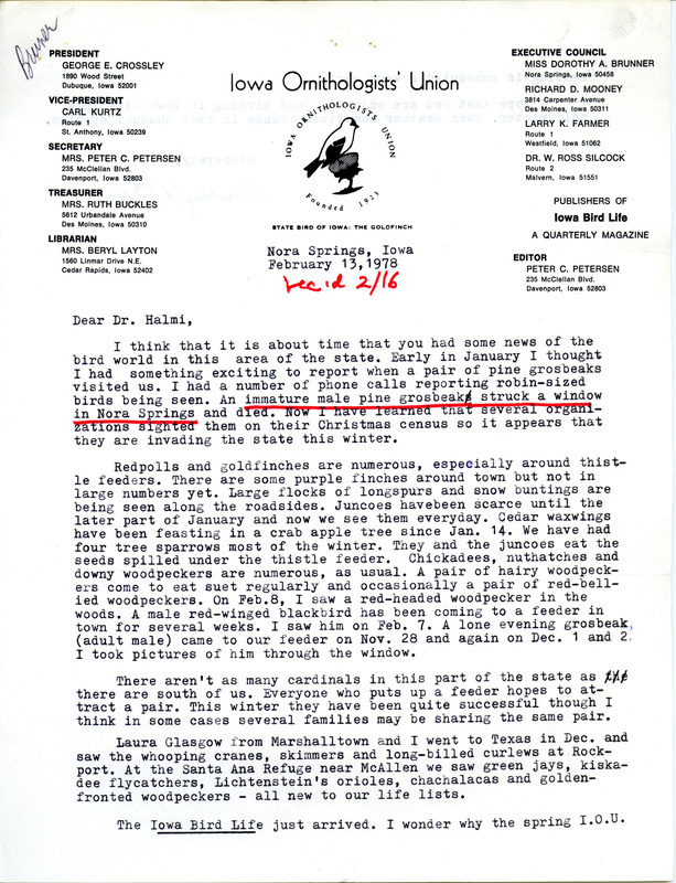 Letter from Dorothy A. Brunner to Nicholas S. Halmi regarding bird sightings, February 13, 1978. This item was used as supporting documentation for the Iowa Ornithologists Union Quarterly field report of winter, 1977-1978.