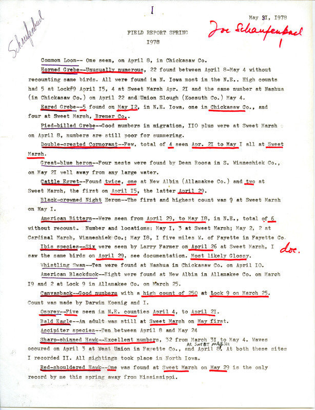 Document titled "field report spring 1978," submitted by Joseph P. Schaufenbuel, May 31, 1978. This item was used as supporting documentation for the Iowa Ornithologists Union Quarterly field report of spring, 1978.