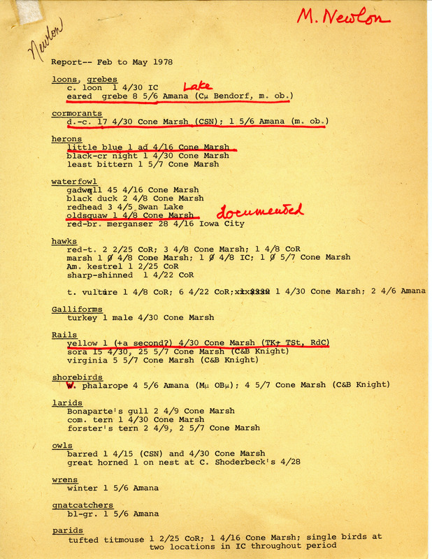 Field notes titled "Report, February to May 1978" submitted by Michael C. Newlon. Notes underlined mention sightings of an Eared Grebe at Amana, as well as a Cormoran, a Oldsquaw (now known as a Long-Tailed Duck), and Yellow Rail at Cone Marsh State Wildlife Management Area. Notes regarding the sightings of Hoarys and Siskins are also marked. This item was used as supporting documentation for the Iowa Ornithologists Union Quarterly field report of spring, 1978.