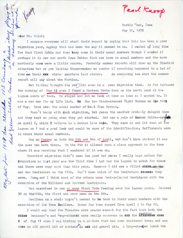 Letter from Pearl Knoop to Nicholas S. Halmi regarding bird sightings, May 31, 1978. The letter also discusses migration patterns for the year. This item was used as supporting documentation for the Iowa Ornithologists Union Quarterly field report of spring, 1978.