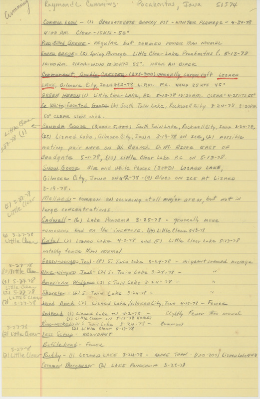 Field report of bird sightings submitted by Raymond L. Cummins. Notes underlined mention the sightings of a Double-crested Cormorant at Lizard Lake as well as a Ruddy Turnstone, Sanderling, and Stilt Sandpiper at Little Clear Lake. This item was used as supporting documentation for the Iowa Ornithologists Union Quarterly field report of spring, 1978.