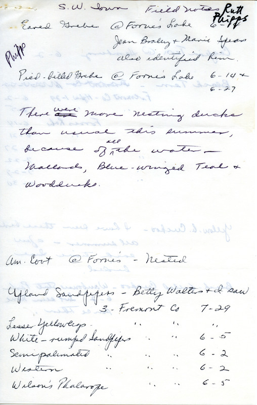 Field report titled "Southwest Iowa Field Notes," submitted by Ruth Phipps. A note at the beginning of the document mentions that there were more nesting ducks that year than usual due to the high water levels. This item was used as supporting documentation for the Iowa Ornithologists Union Quarterly field report of summer, 1978.