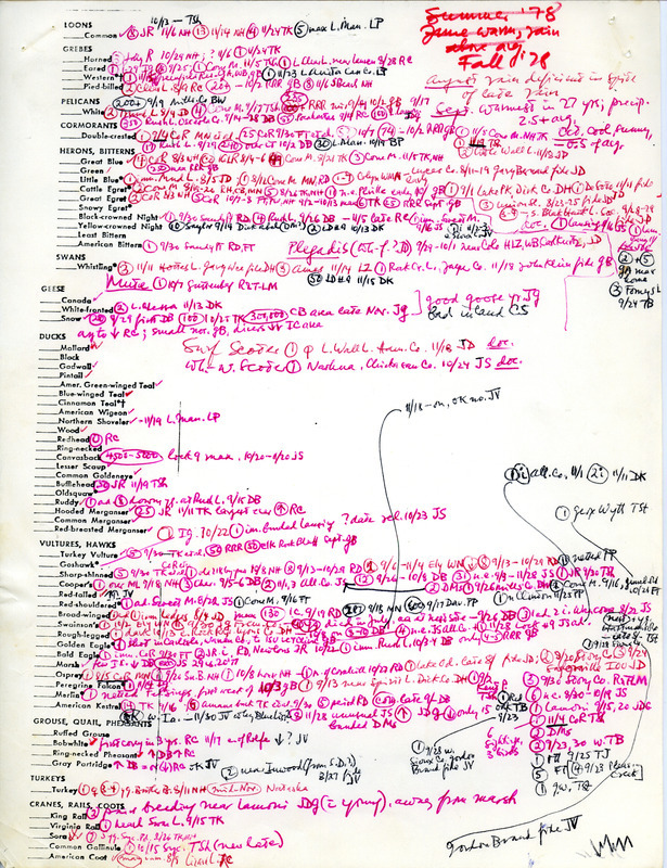 Bird sightings checklist, fall 1978. The document includes numerous annotations. The item includes a full page illustration of a duck. This item was used as supporting documentation for the Iowa Ornithologists' Union Quarterly field report of fall 1978.