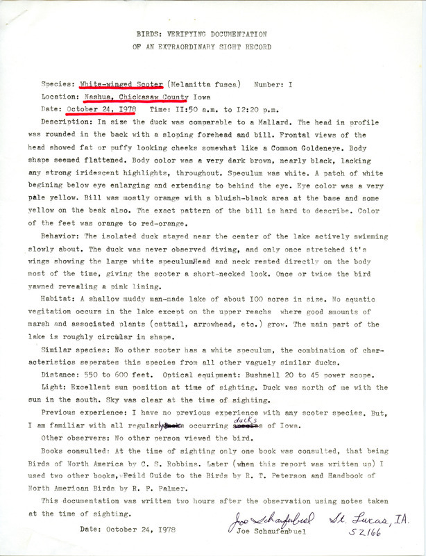 Rare bird sighting documentation submitted by Joseph P. Schaufenbuel, October 24, 1978. Consists of a detailed description of a October 24 sighting of a White-winged Scoter at Nashua. This item was used as supporting documentation for the Iowa Ornithologists' Union Quarterly field report of fall 1978.