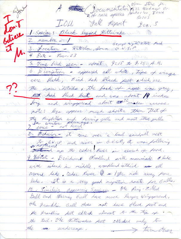 Rare bird sighting documentation for a Black Legged Kittiwake and field report titled "Iowa Ornithologists Union fall report," submitted by Tom Stone Jr., December 3, 1978. This item was used as supporting documentation for the Iowa Ornithologists' Union Quarterly field report of fall 1978.