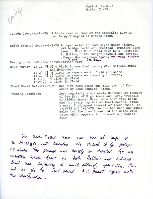 Winter report of birds found in and around Amana contributed by Carl J. Bendorf. A special mention was made about a White Fronted Goose. This item was used as supporting documentation for the Iowa Ornithologists' Union Quarterly field report of winter 1978-1979.