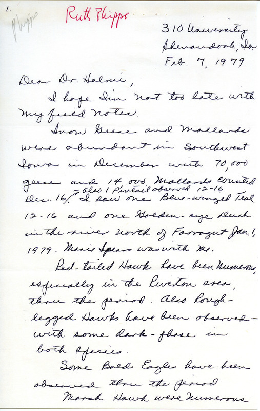 Letter from Ruth Phipps to Nicholas S. Halmi regarding winter bird sightings in southwest Iowa, February 7, 1979. Sightings of Purple Finch and Lincoln's Sparrow are underlined in red. This item was used as supporting documentation for the Iowa Ornithologists' Union Quarterly field report of winter 1978-1979.