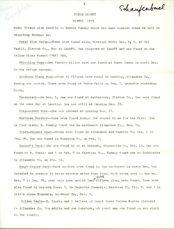 Winter report of birds and locations contributed by Joseph P. Schaufenbuel, with additional reports from Darwin Koenig. This item was used as supporting documentation for the Iowa Ornithologists Union Quarterly field report of winter 1978-1979.