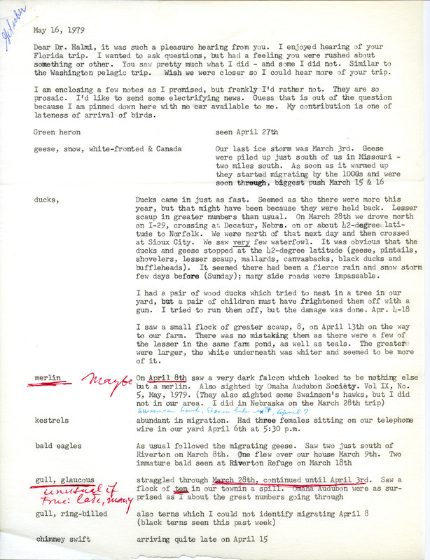 Letter from Ione Getscher to Nicholas S. Halmi regarding spring bird sightings, May 16, 1979. Sightings of Merlin and Glaucous Gull are underlined in red. This item was used as supporting documentation for the Iowa Ornithologists' Union Quarterly field report of spring 1979.