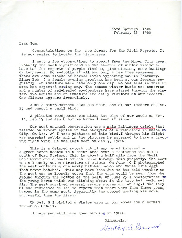 Field notes contributed by Dorothy A. Brunner in a letter to Thomas H. Kent, February 21, 1980. This item was used as supporting documentation for the Iowa Ornithologists Union Quarterly field report of winter 1979-1980.