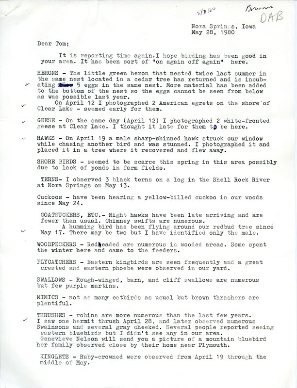 Field notes contributed by Dorothy A. Brunner in a letter to Thomas H. Kent, May 28, 1980. This item was used as supporting documentation for the Iowa Ornithologists Union Quarterly field report of spring 1980.