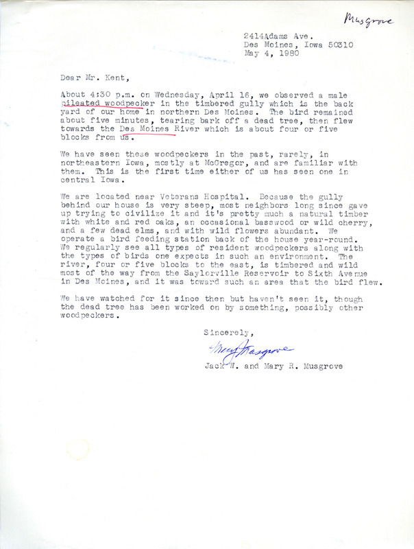 Field notes contributed by Jack W. Musgrove and Mary R. Musgrove in a letter to Thomas H. Kent regarding the sighting of a male pileated woodpecker. This item was used as supporting documentation for the Iowa Ornithologists Union Quarterly field report of spring 1980.