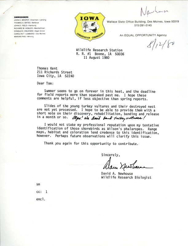 Field notes contributed by David A. Newhouse in a letter to Thomas H. Kent, August 11, 1980. The field notes include a sighting of a Leucistic Red-Tailed Hawk. This item was used as supporting documentation for the Iowa Ornithologists Union Quarterly field report of summer 1980.