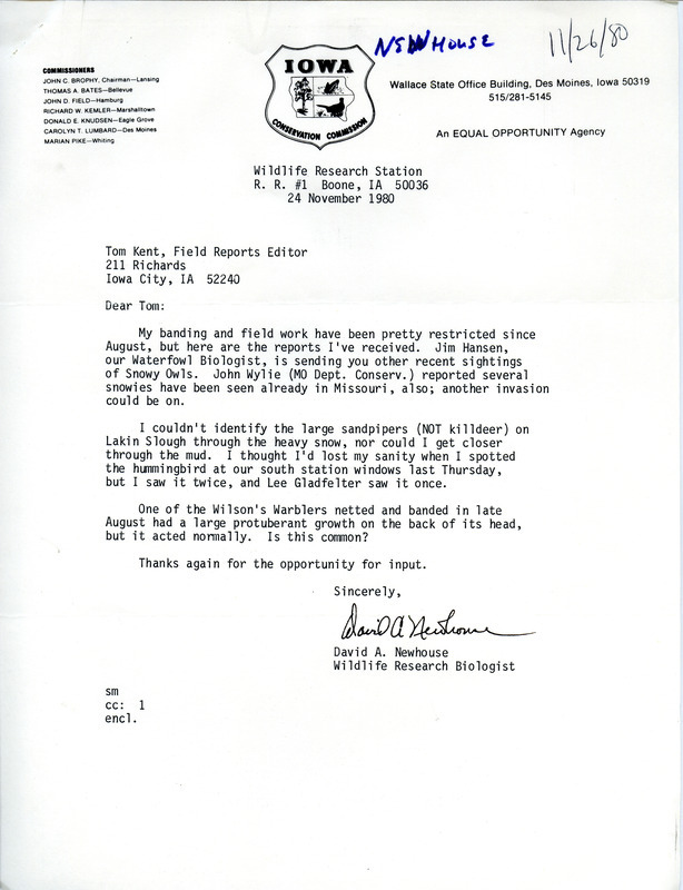 David A. Newhouse letter discusses Snowy Owls, Sandpipers, a Ruby-throated Hummingbird and a Wilson's Warbler. Included with the letter is an annotated list of birds sighted by himself and also reported from others. This item was used as supporting documentation for the Iowa Ornithologists Union Quarterly field report of Fall 1980.