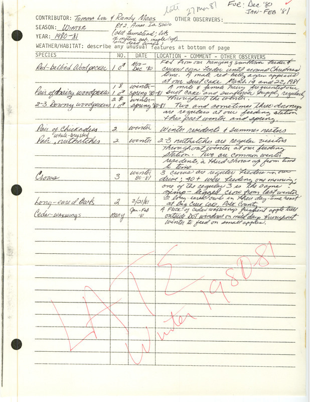 An annotated list of birds sighted by Tomma Lou and Randy Maas around the Ames area. This item was used as supporting documentation for the Iowa Ornithologists Union Quarterly field report of winter 1980-1981.