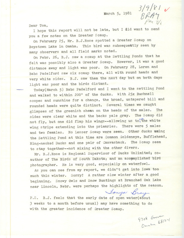 Tanya Bray letter notes the presence of Greater Scaup and speculates that their numbers might be related to the mild weather. Included with the letter is an annotated list of birds sighted for the winter season. This item was used as supporting documentation for the Iowa Ornithologists Union Quarterly field report of winter 1980-1981.