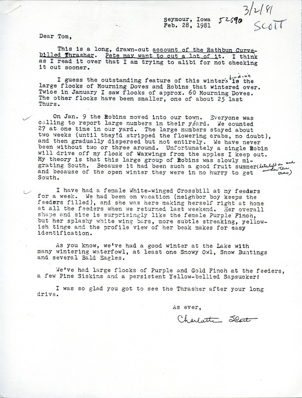 Charlotte Scott letter details her efforts to help a friend, Jinnie Drum, identify a bird in her yard. She also mentions other birds sighted in her area. This item was used as supporting documentation for the Iowa Ornithologists Union Quarterly field report of winter 1980-1981.