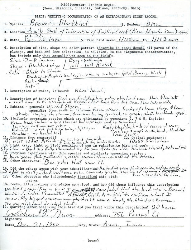 A form documenting the sighting of a Brewer's Blackbird near Indian Creek south of Nevada submitted by Richard Nuss. This item was used as supporting documentation for the Iowa Ornithologists Union Quarterly field report of winter 1980-1981.