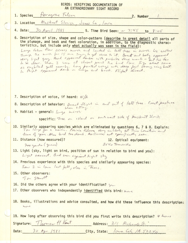 A form documenting the sighting of a Peregrine Falcon at Muskrat Slough submitted by Thomas Kent. This item was used as supporting documentation for the Iowa Ornithologists Union Quarterly field report of spring 1981.