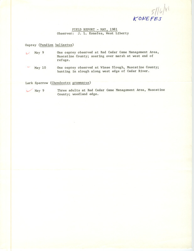 A list of birds sighted by J.L. Konefes in May. This item was used as supporting documentation for the Iowa Ornithologists Union Quarterly field report of spring 1981.