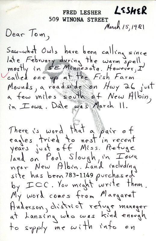 The letter reports a Saw-whet Owl sighting and mentions nesting Eagles in north-east Iowa. This item was used as supporting documentation for the Iowa Ornithologists Union Quarterly field report of spring 1981.