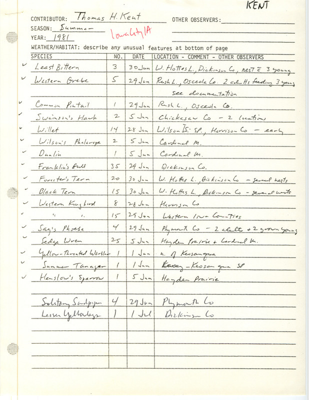 Summer report of birds contributed by Thomas H. Kent. Verifying documentation of extraordinary sightings of Say's Phoebe and Western Grebe are included. This item was used as supporting documentation for the Iowa Ornithologists' Union Quarterly field report of summer 1981.