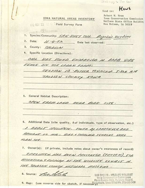 Field survey contributed by Bob Sheets to Robert W. Howe regarding a Saw-Whet Owl specimen preserved at the Jackson County Historical Museum. The owl had been found entangled in a barbed wire fence in Jackson County, Iowa. This item was used as supporting documentation for the Iowa Ornithologists' Union Quarterly field report of fall 1982.