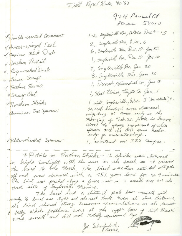 Winter report of birds and locations contributed by Joseph P. Schaufenbuel. Also included is hand drawn sketch and detailed description of a Northern Shrike sighting. This item was used as supporting documentation for the Iowa Ornithologists' Union Quarterly field report of winter 1982-1983.