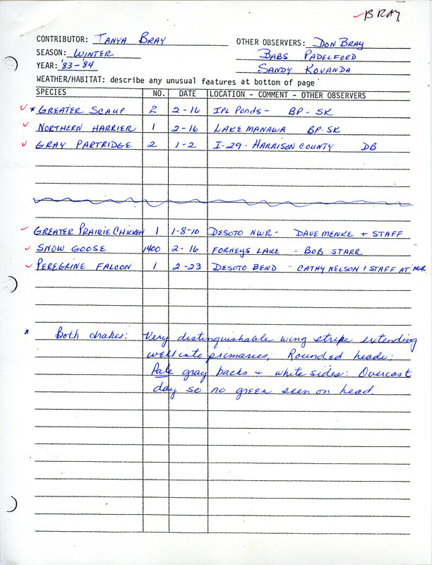 Field notes were contributed by Tanya Bray, winter 1983-1984. Other observers were Don Bray, Babs Padelford, and Sandra Kovanda. A detailed description was given of two Greater Scaup drakes seen at the IPL Ponds near Council Bluffs. The other birds reported were a Northern Harrier at Lake Manawa, two Gray Partridges by I-29 in Harrison County, a Greater Prairie-Chicken at the De Soto NWR, 1400 Snow Geese at Forneys Lake, and a Peregrine Falcon at De Soto Bend. A February 27 cover letter to Thomas H. Kent mentioned three Gyrfalcon sightings in Nebraska. These items were used as supporting documentation for the Iowa Ornithologists' Union Quarterly field report of winter 1983-1984.