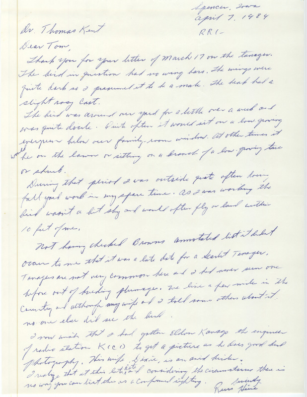 Russell Heine letter to Thomas H. Kent was regarding details on his late sighting of a Scarlet Tanager, April 7, 1984. Heine provided more details on the bird he saw in his yard in Spencer, Iowa, in November 1983, but understood it could not be listed as a confirmed sighting. This item was used as supporting documentation for the Iowa Ornithologists' Union Quarterly field report of winter 1983-1984.