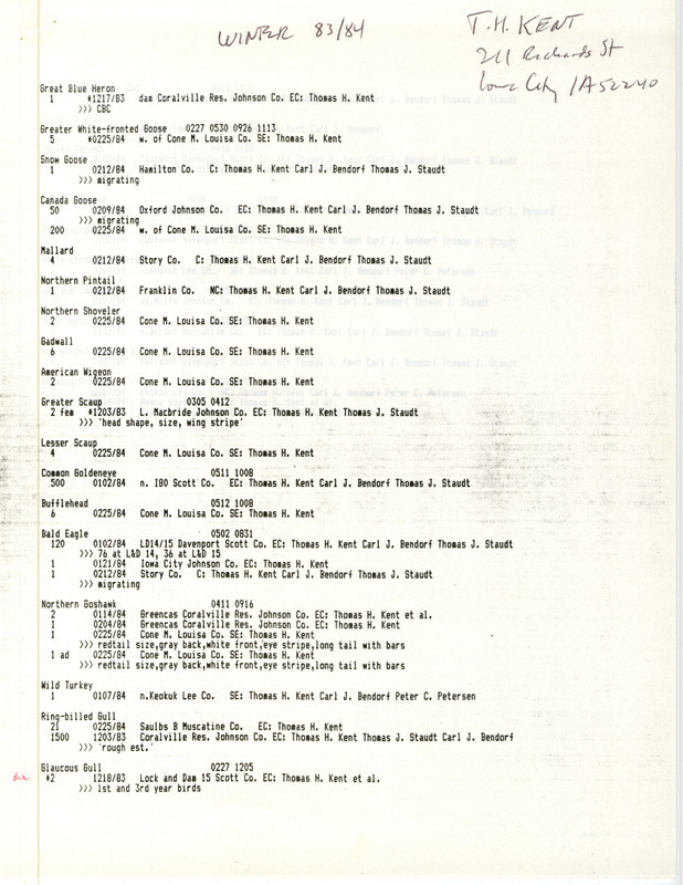 Field reports data contributed by Thomas H. Kent and others, winter 1983-1984, was in the form of a computer-generated list. Many of the sightings were in Johnson County, but two Glaucous Gulls in Scott County were marked as documented. Other contributors were Carl J. Bendorf, Peter C. Petersen, and Thomas J. Staudt. This item was used as supporting documentation for the Iowa Ornithologists' Union Quarterly field report of winter 1983-1984.