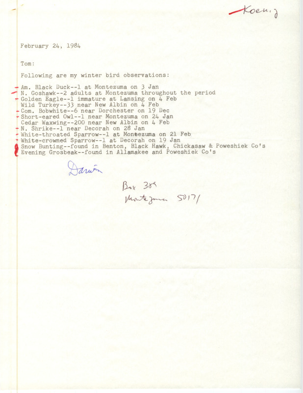 Darwin Koenig letter to Thomas H. Kent was regarding winter birds sighted, February 24, 1984. Among other birds listed, two Goshawks were seen at Montezuma throughout the winter. This item was used as supporting documentation for the Iowa Ornithologists' Union Quarterly field report of winter 1983-1984.