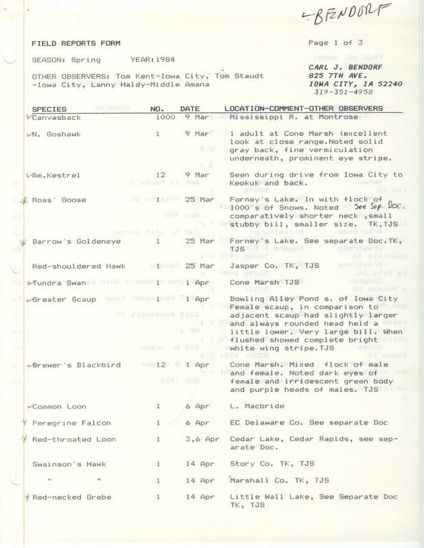 Field notes contributed by Carl J. Bendorf, Iowa City, Iowa, spring 1984. Other observers were Thomas H. Kent, Thomas J. Staudt, and Lanny Haldy. This item was used as supporting documentation for the Iowa Ornithologists' Union Quarterly field report of spring 1984.