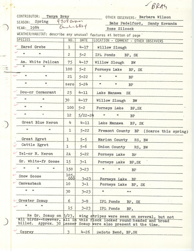 Field notes were contributed by Tanya Bray, spring 1984, with seven other observers. The most important sighting was that Babs Padelford documented a Bewick's Wren at Waubonsie State Park. In her undated cover letter to Thomas H. Kent, Bray mentions seeing a Moorhen almost every time at Forneys Lake, and also covers Nebraska experiences. These items were used as supporting documentation for the Iowa Ornithologists' Union Quarterly field report of spring 1984.