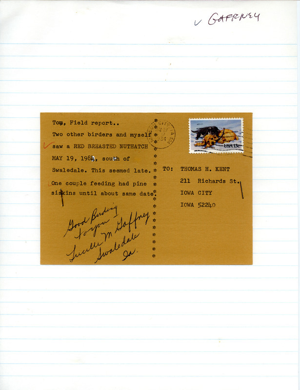 Lucille M. Gaffney postcard to Thomas H. Kent was regarding bird sightings in Swaledale, Iowa, May 19, 1984. She saw a Red-breasted Nuthatch and others saw Pine Siskins at a feeder, both at this late date. This item was used as supporting documentation for the Iowa Ornithologists' Union Quarterly field report of spring 1984.