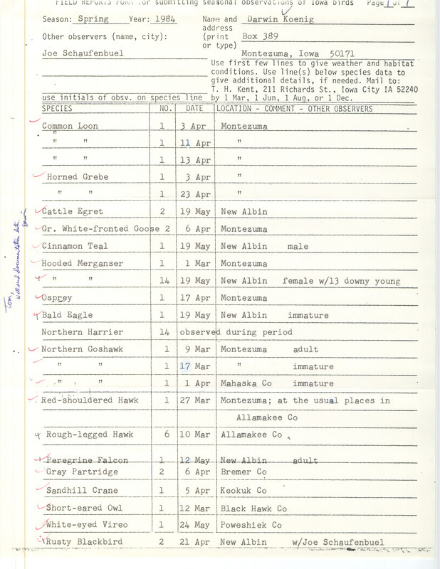 Field notes were contributed by Darwin Koenig, spring 1984. He observed 18 bird species, including Cattle Egrets and a Peregrine Falcon in New Albin. He observed Rusty Blackbirds with Joseph P. Schaufenbuel in New Albin. This item was used as supporting documentation for the Iowa Ornithologists' Union Quarterly field report of spring 1984.