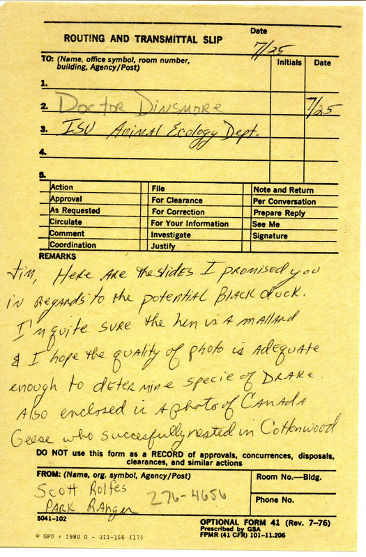 Scott Rolfes routing slip to James J. Dinsmore was regarding slides of ducks and geese, July 25, 1984. He sent slides of a potential Black Duck, knew one in the photo was a Mallard, and also sent a photo of Canada Geese that nested in a cottonwood. No locations were provided. This item was used as supporting documentation for the Iowa Ornithologists' Union Quarterly field report of summer 1984.