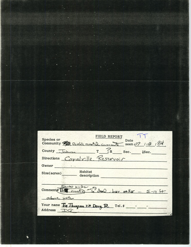 Field notes were contributed by Tim Thompson, July 18, 1984, "via Doug R." He observed 50-70 Double-crested Cormorants in nests at Coralville Reservoir. This item was used as supporting documentation for the Iowa Ornithologists' Union Quarterly field report of summer 1984.