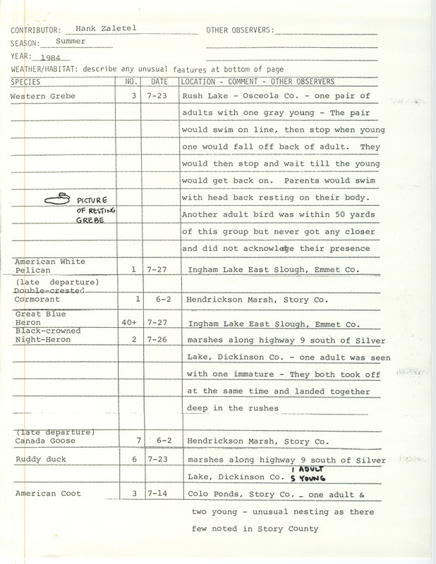 Field notes were contributed by Hank Zaletel, summer 1984. He sighted 31 species, some nesting, many at Colo Ponds, and drew a picture of a resting Western Grebe at Rush Lake, Osceola County. This item was used as supporting documentation for the Iowa Ornithologists' Union Quarterly field report of summer 1984.