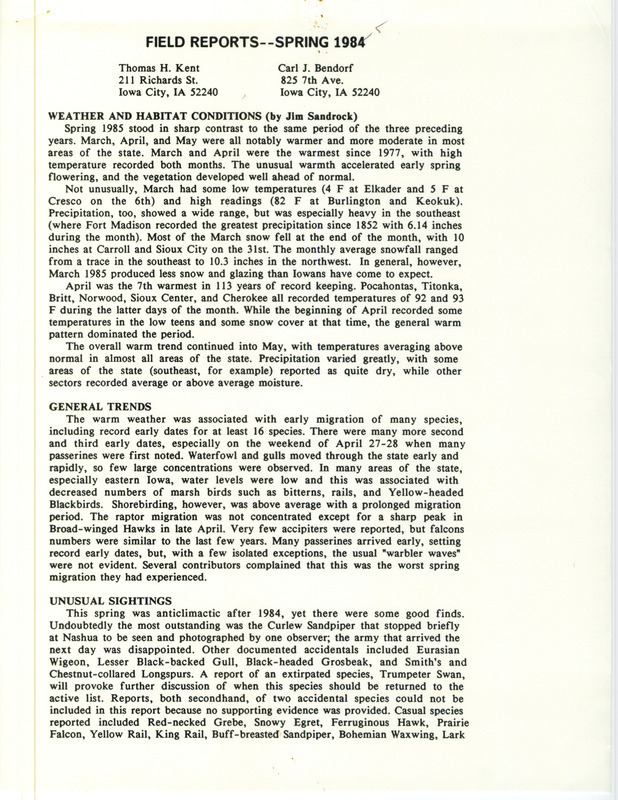 Quarterly field report compiled by Thomas H. Kent and Carl J. Bendorf for spring 1985. Includes sighting of a Curlew Sandpiper and a Trumpeter Swan and discussion of the quantity, quality, and methodology of reporting sightings.