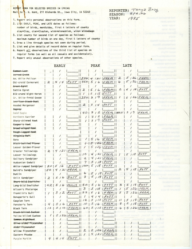 A list of bird sightings contributed by Tanya Bray. This item was used as supporting documentation for the Iowa Ornithologists Union Quarterly Report of spring 1985.