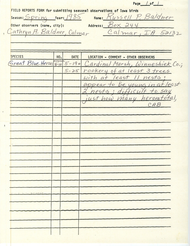 A field report of a sighting of several Great Blue Herons at Cardinal March, including a description of their nesting site. This item was used as supporting documentation for the Iowa Ornithologists' Union Quarterly Report of spring 1985.