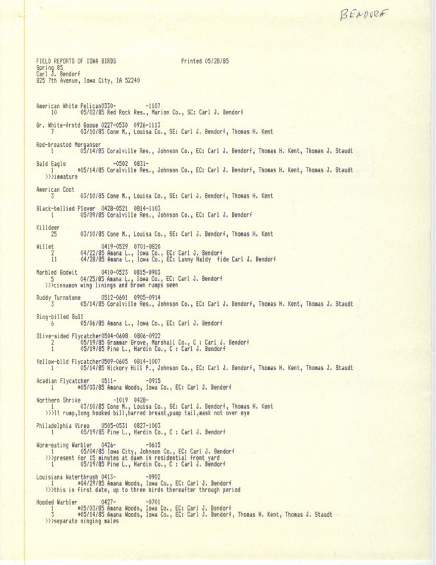 Field report contributed by Carl J. Bendorf listing various bird sightings in eastern Iowa. This item was used as supporting documentation for the Iowa Ornithologists' Union Quarterly Report of spring 1985.